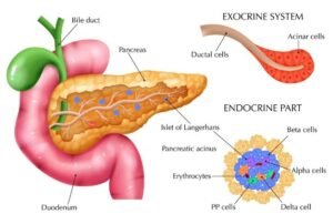 best pancreatic pseudocyst treatment in Sahibabad