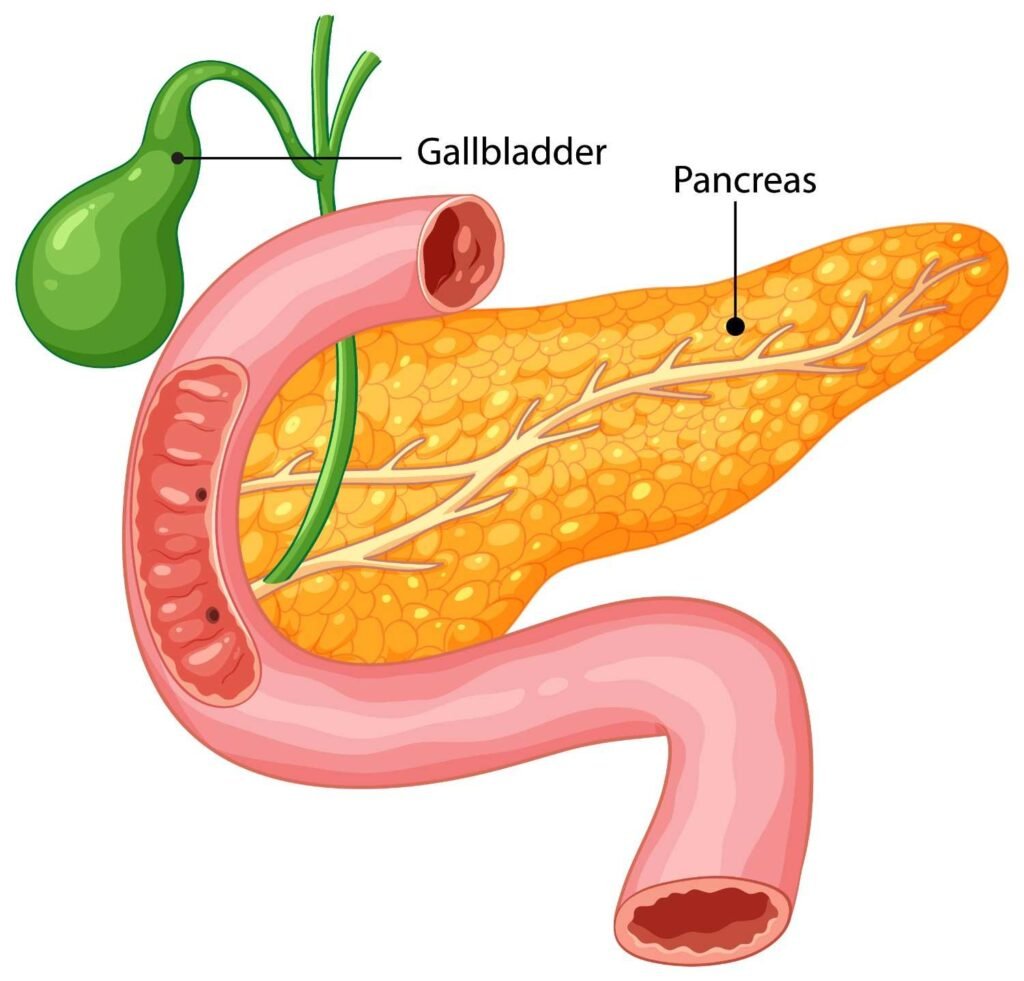 Best Doctor for Pancreatic Pseudocyst in Indirapuram